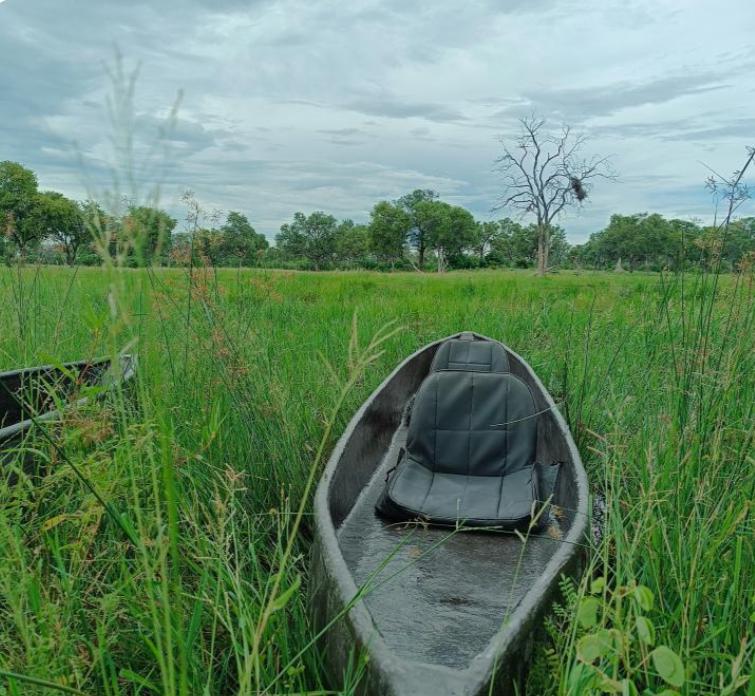 Botswana & Vic Falls Adventure
