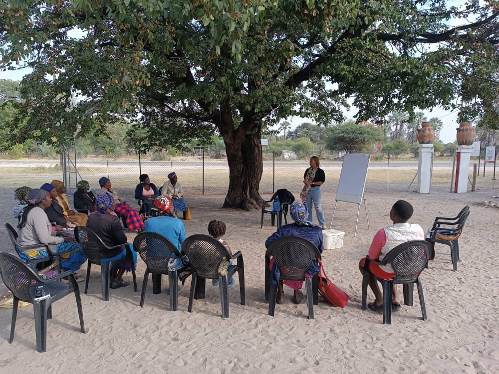 HSA Impact community gathering supporting local artisans in Botswana